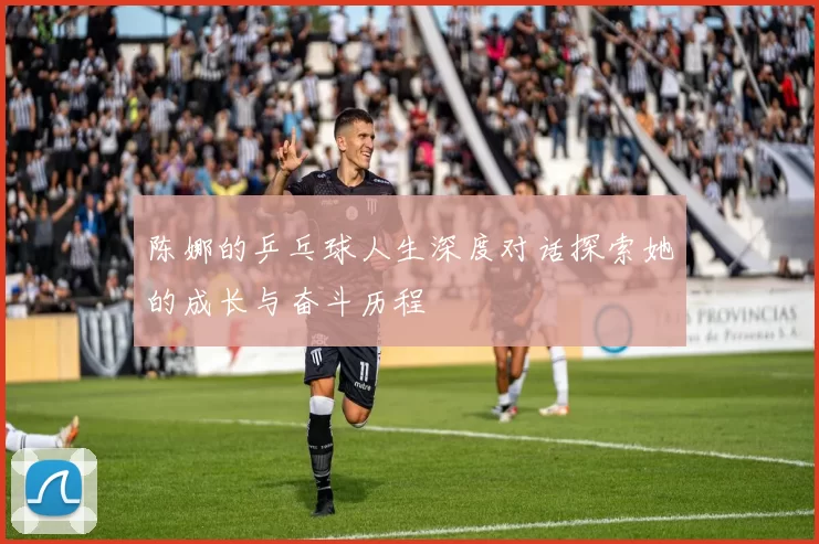 陈娜的乒乓球人生深度对话探索她的成长与奋斗历程