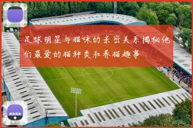 足球明星与猫咪的亲密关系揭秘他们最爱的猫种类和养猫趣事