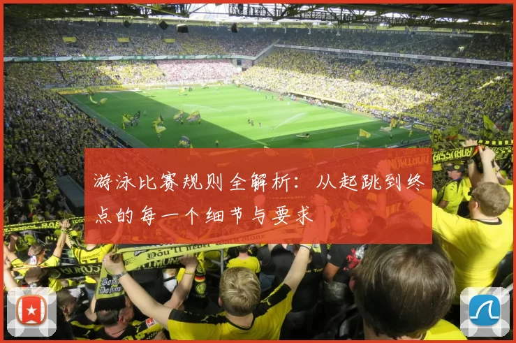 游泳比赛规则全解析：从起跳到终点的每一个细节与要求