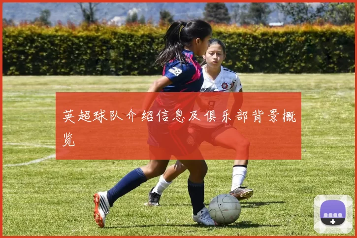 英超球队介绍信息及俱乐部背景概览