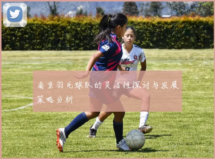 南京羽毛球队的灵活性探讨与发展策略分析