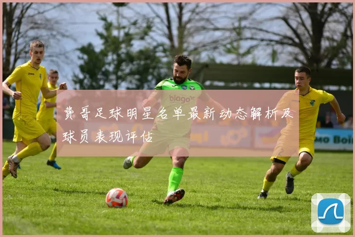 费哥足球明星名单最新动态解析及球员表现评估