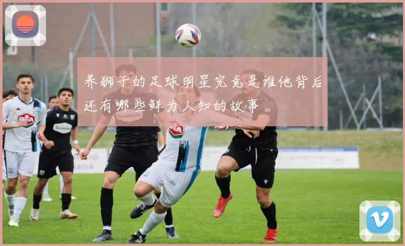 养狮子的足球明星究竟是谁他背后还有哪些鲜为人知的故事