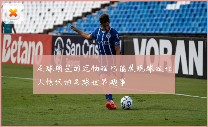 足球明星的宠物猫也能展现球技让人惊叹的足球世界趣事