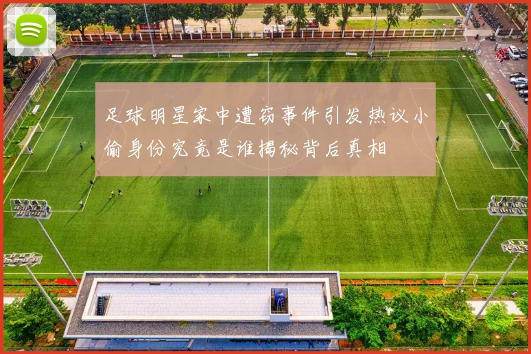足球明星家中遭窃事件引发热议小偷身份究竟是谁揭秘背后真相