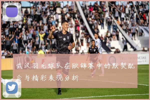 武汉羽毛球队在欧锦赛中的默契配合与精彩表现分析