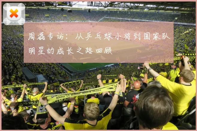 周磊专访：从乒乓球小将到国家队明星的成长之路回顾