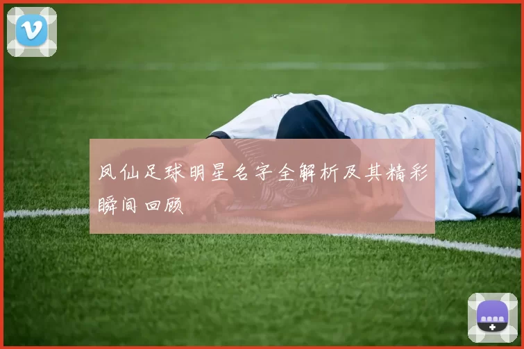 凤仙足球明星名字全解析及其精彩瞬间回顾