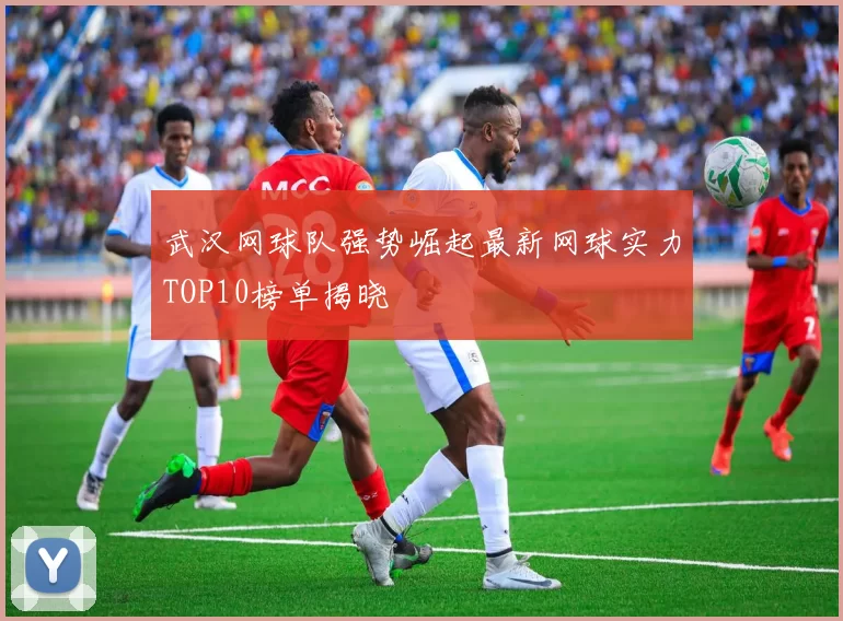 武汉网球队强势崛起最新网球实力TOP10榜单揭晓
