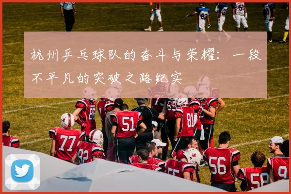 杭州乒乓球队的奋斗与荣耀：一段不平凡的突破之路纪实