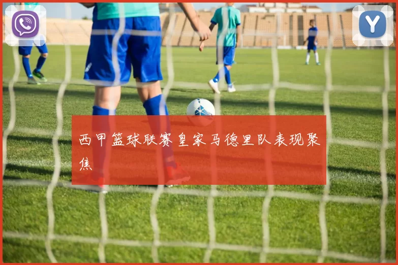 西甲篮球联赛皇家马德里队表现聚焦