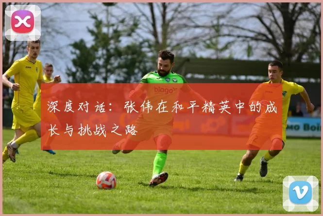 深度对话：张伟在和平精英中的成长与挑战之路