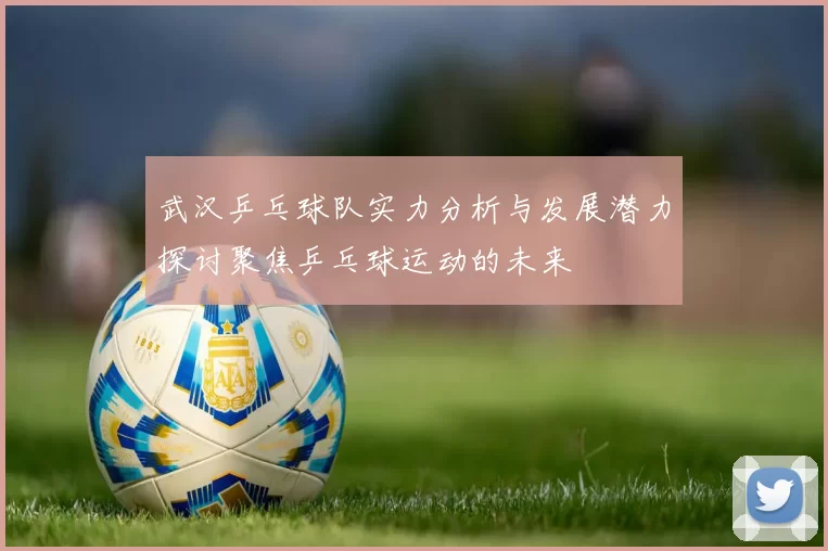武汉乒乓球队实力分析与发展潜力探讨聚焦乒乓球运动的未来