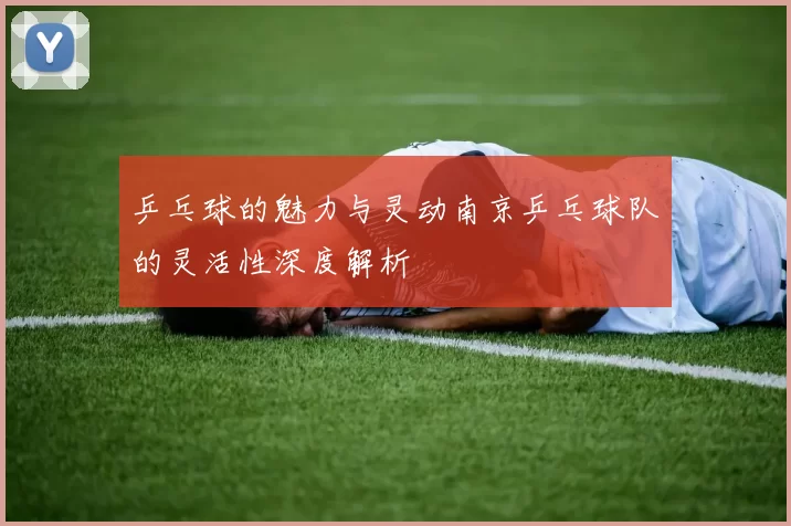 乒乓球的魅力与灵动南京乒乓球队的灵活性深度解析