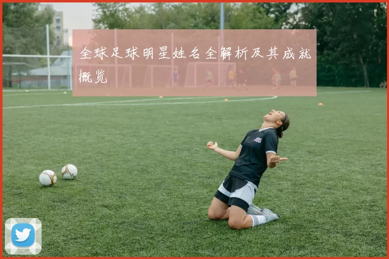 全球足球明星姓名全解析及其成就概览