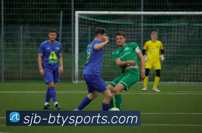 b体育APP 高清赛事图